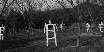 樹下に集う