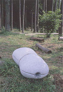 風が抜ける場所