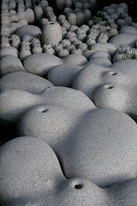 Stone Capsules -境界- ’08