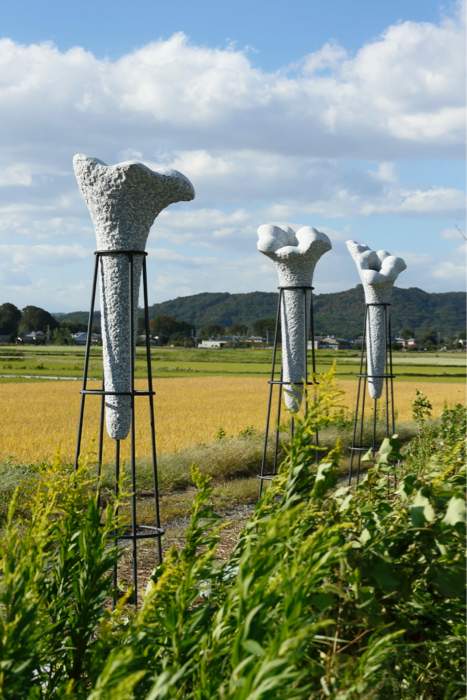 三つの花