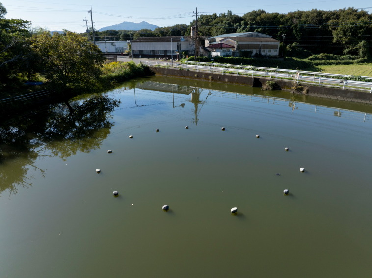 浮石環 2025
