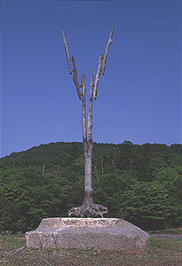 雷神