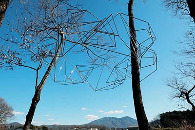 Triangulated Circle